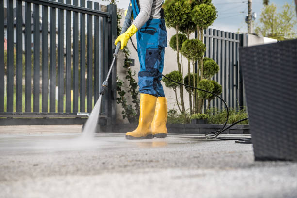 Best Restaurant Pressure Washing  in Vidor, TX